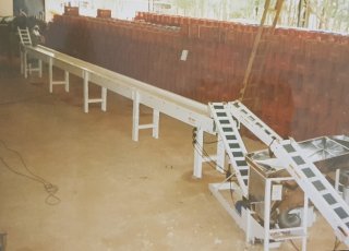 Linha para Beneficiamento de Alho uso lavoura ou industrial