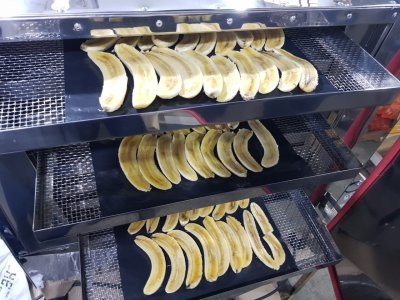 Desidratador  Micro - para alimentos e outros - AGMAC - MTDV - 15/A