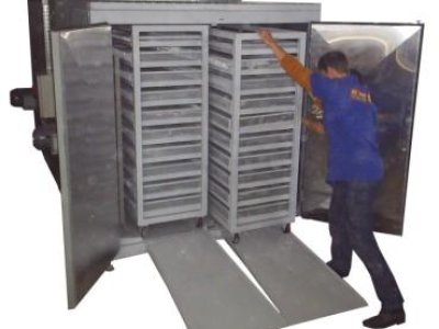 Forno para Secar Cones de Pinus - AG - FSC - 100M